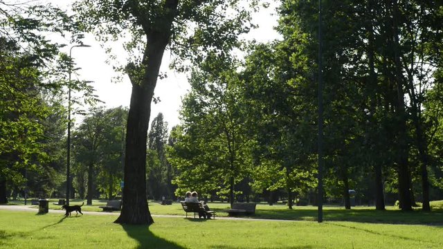un pomeriggio al parco in una bella giornata di sole