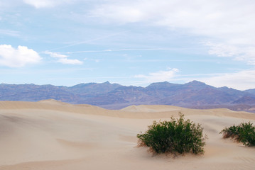 Mesquite Flat Sand Dunes in Death Valley