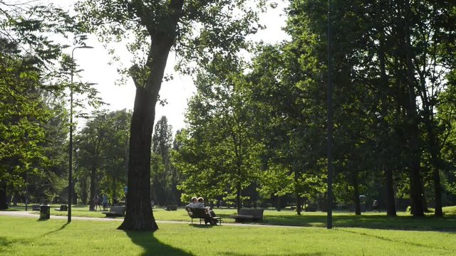 un pomeriggio al parco in una bella giornata di sole