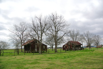 Houses in the country side