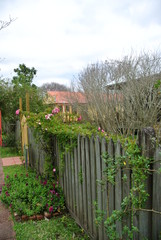 Creole house