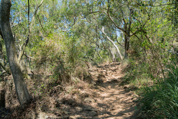 Hiking in Miaoli Sanyi Huoyanshan Nature Reserve