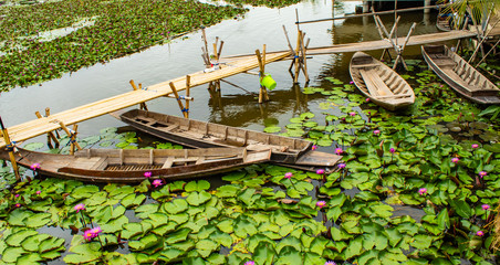 Wooden boat In the pink lotus ponds.