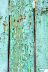 Fragment of old green peeled wooden planks. Layer of old cracked paint. Use for design background.