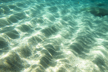 Sandy bottom of the Mediterranean Sea