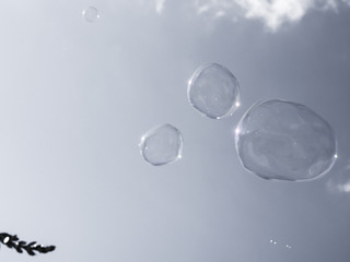 Grey soap bubbles