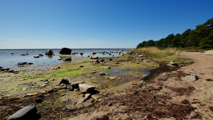 Fototapeta na wymiar Estońskie wybrzeże Bałtyku - spacer wzdłuż opustoszałej dzikiej plaży - wakacje w Europie Wschodniej