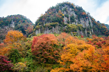 大分県耶馬溪の紅葉