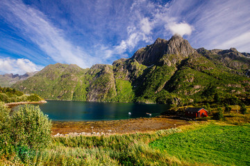Red house on the shore of lake with view to mountains in the Norway at summer