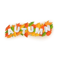 Word AUTUMN composition with green yellow red leaves on white background in paper cut style. Fall leaf 3d realistic letters for design poster, banner, flyer T-shirt printing, Vector illustration