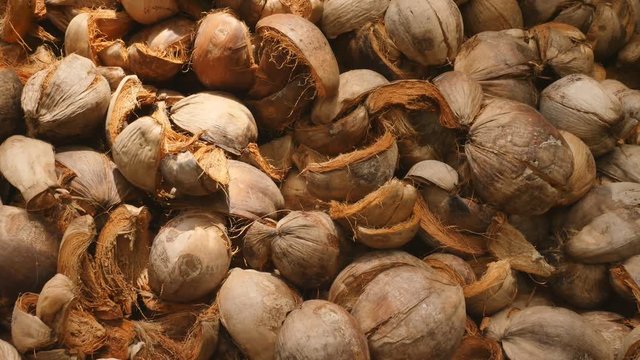 Coconut Brown Husk Hairy - Coconut Coir background.