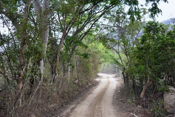 Jungle Landscape views from the rural small village road to El Eden by Puerto Vallarta Mexico where Predator the movie with Arnold Schwarzenegger was mostly filmed 