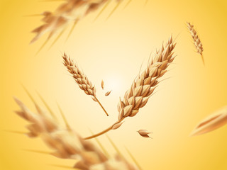 Flying wheats ingredient - obrazy, fototapety, plakaty