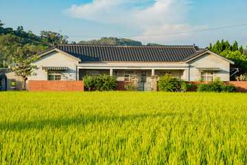 Traditional Taiwanese house with rice field
