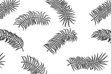 Tropical pattern. Palm leaves on the white background