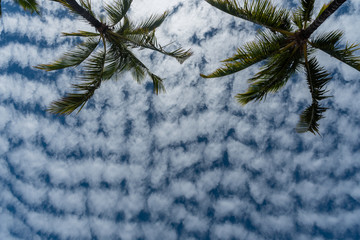 Unusual cloud pattern on the Big Island of Hawaii
