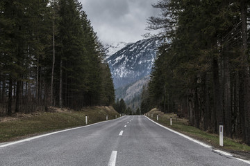 Obraz premium Landstraße durch wald mit Berge im Hintergrund