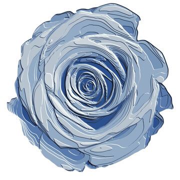 Blue 3D Engraved Rose Flower Pattern On White Background, Vector Illustration