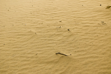 Sand pattern texture. Sand texture background.