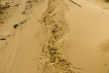 Sand pattern texture. Sand texture background.