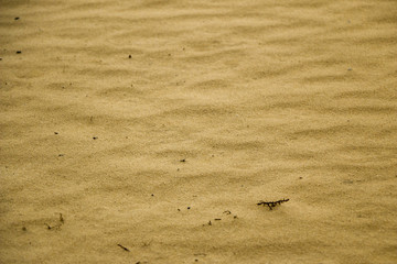 Sand pattern texture. Sand texture background.