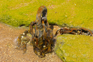 An old rusty chain is thrown on the seashore against a background of yellow sand.