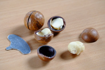Macadamia nuts in shell on wooden table