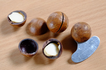 Macadamia nuts in shell on wooden table