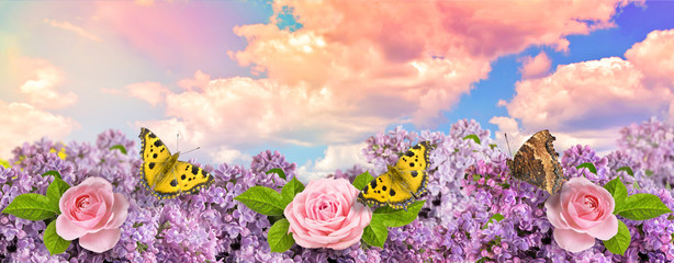 Lilac flowers with roses and butterflies in garden against the blue sky with spectacular clouds
