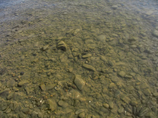 Golden brown abstract background of a rocky bottom of a mountain river. Smooth round stones in the mud under transparent clear water - top view