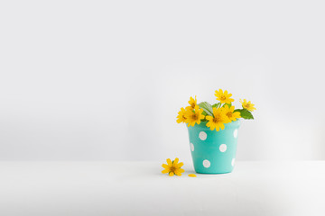 yellow flower In the cute pot White background