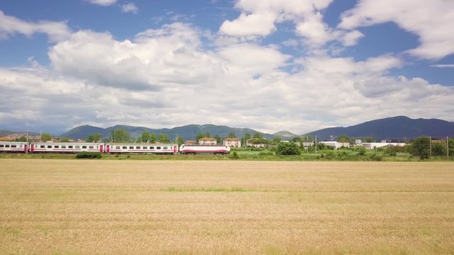 Campo di grano con treno in transito