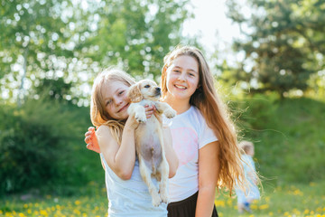 Two cute lovely little school age girls playing and hugging puppy dog at the park in summer meadow outdoor nature. Friendship and care concept.