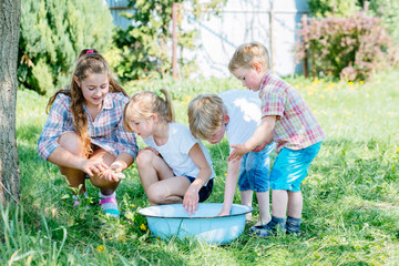 Fototapeta premium Four enthusiastic children enjoying and playing with raw fish in basin outdoor in sunny summer day. Childhood, friendship and adventure concept. Cheerful fuss.
