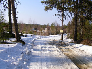 Дорога в лесу