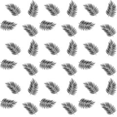 Silhouette of Palm Trees on White Background. Seamless pattern. Vector Illustration.