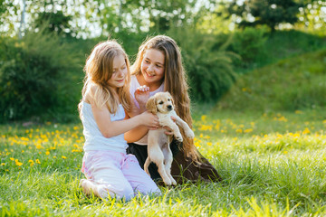 Naklejka na ściany i meble Two cute little sisters hugging dog puppy in the park in summer meadow outdoor nature. Friendship and care concept