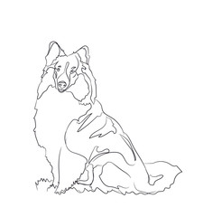 dog sitting, lines, vector