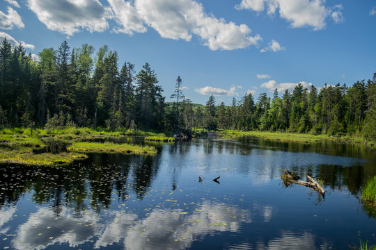 lac du qu&eacute;bec dans le parc de la jacque cartier
