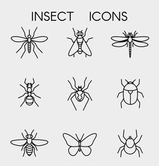 Set black linear icons insects. Contour vector icons.