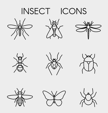 Set black linear icons insects. Contour vector icons.