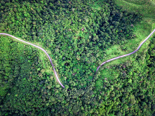 Top view curvy road in the middle of green forest. Amazing nature landscape. Aerial view from flying drone.