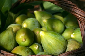 Fresh green figs with green leaves in a wicker basket 