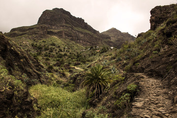 Masca Trail, Canary Islands 