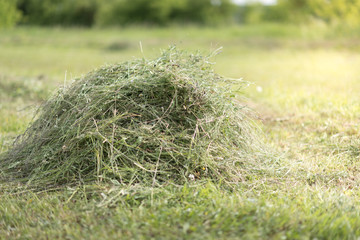 Heap of unwrapped hay bales close-up