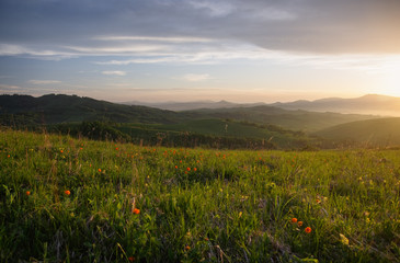 Spring landscape with illuminated sunset light valley and hills