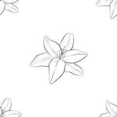 Contour pattern of white flower, seamless wallpaper