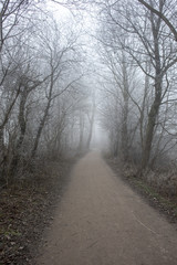 Weg im Winter mit Raureif und Bäumen 2