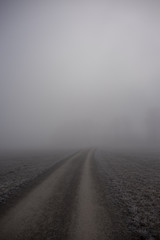 Weg im Nebel 