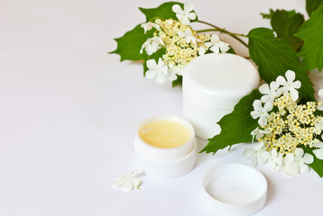 Obraz na płótnie Canvas Natural moisturizing rejuvenating cosmetics, face cream with a viburnum extract and white guelder-rose flowers on a light background. Spring Still Life. Free space for text and advertising